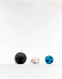 Éric Poitevin, un art de la présence