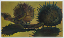 L’Automne En Ardèche