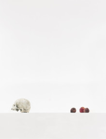 Sans titre (Crâne VII) 1/5