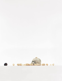 Sans titre (Crâne VI)